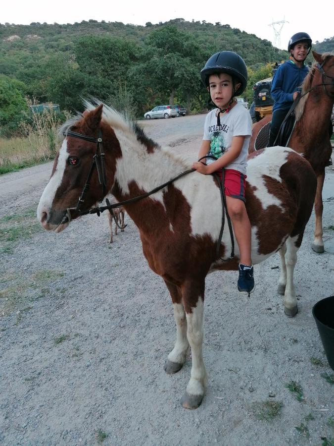Sas Abbilas Bonorva Bagian luar foto